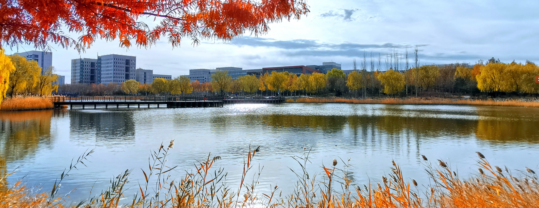 北京理工大学-校园风景