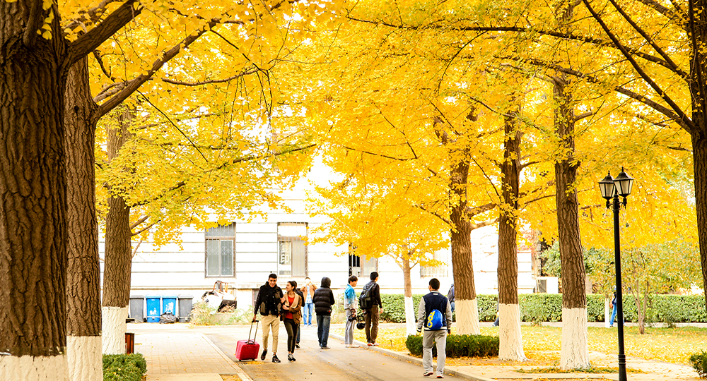 北京科技大学：校名题写 / 校徽设计