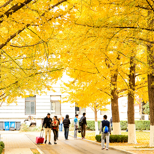 北京科技大学 - 白驹过隙，只此青绿