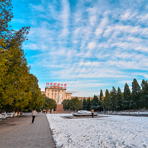 北京科技大学 - 书行山海 落笔芳华