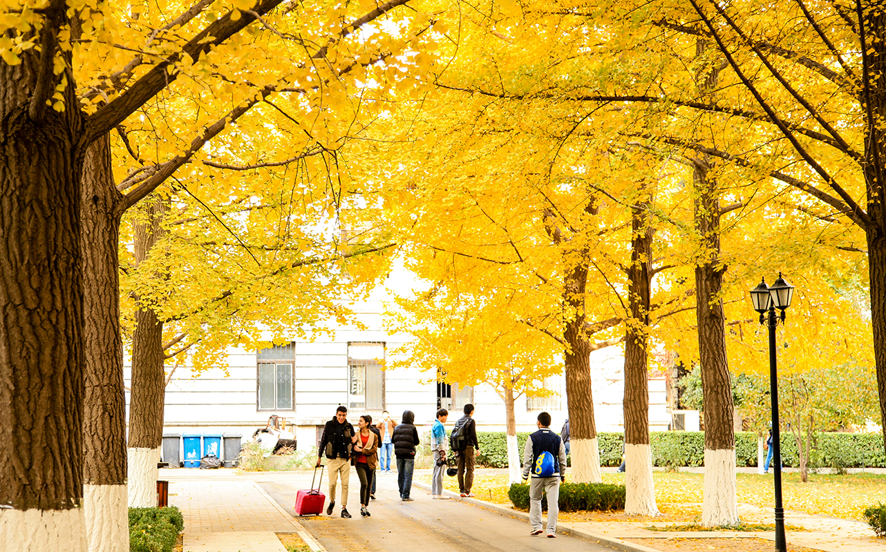 北京科技大学