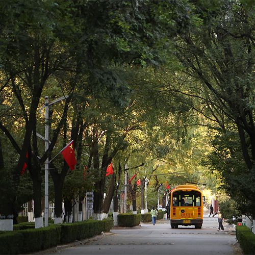 历史沿革