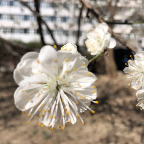 学费 / 住宿费标准