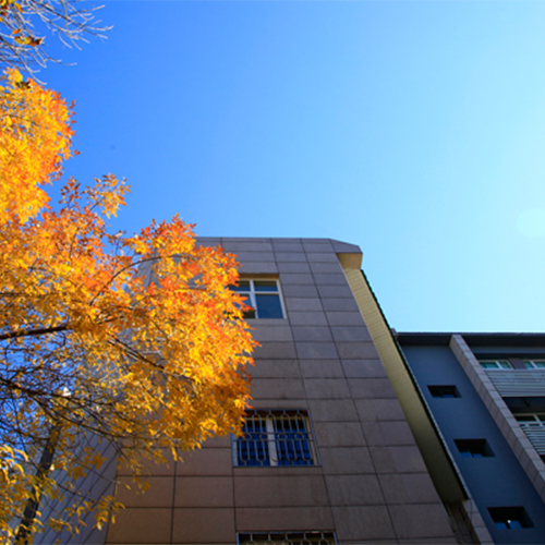 我的大学