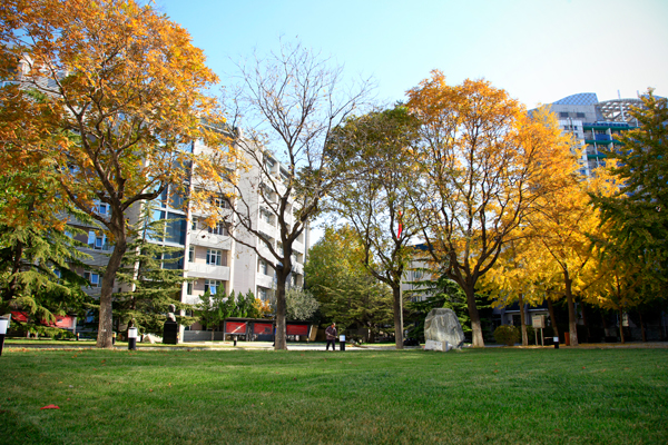 北京青年政治学院 早安青春