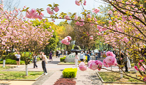 西南政法大学-校园风光