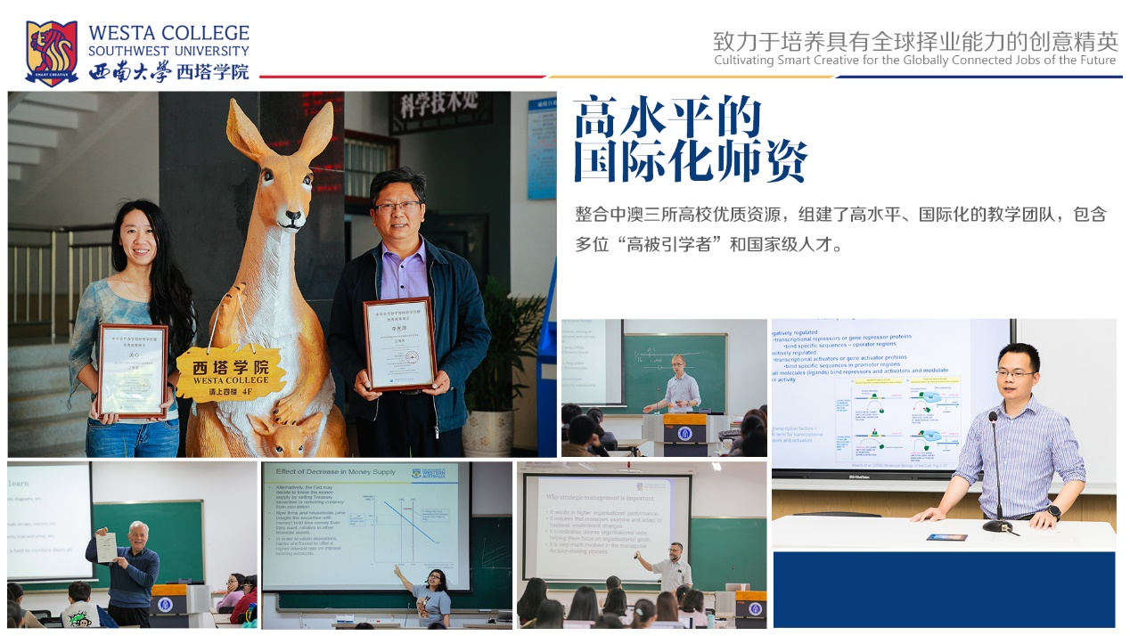 中外合作办学机构—西塔学院2025年招生说明2