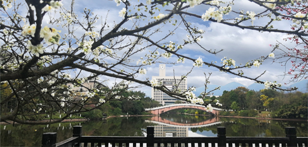 重庆师范大学