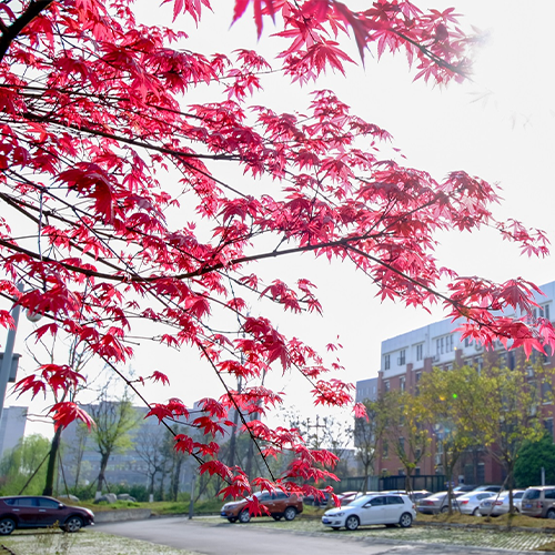 西南交通大学-最美校园