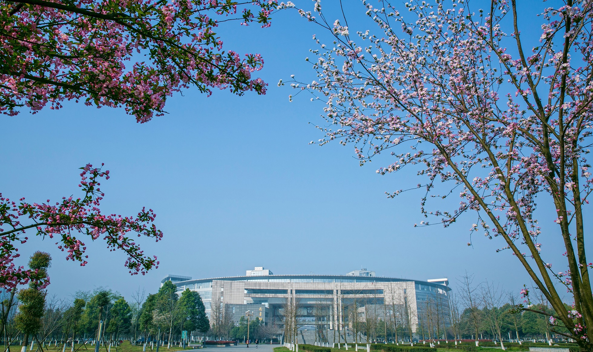 西南交通大学 我的大學