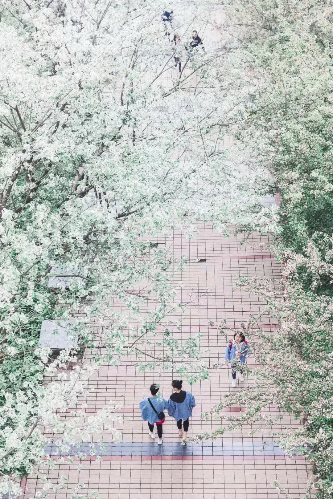 乐山师范学院 我的大學