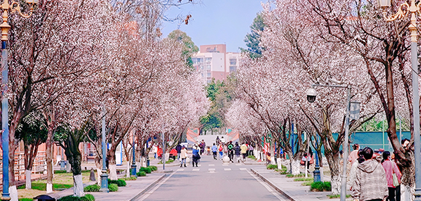 西南民族大学 - 最美大学