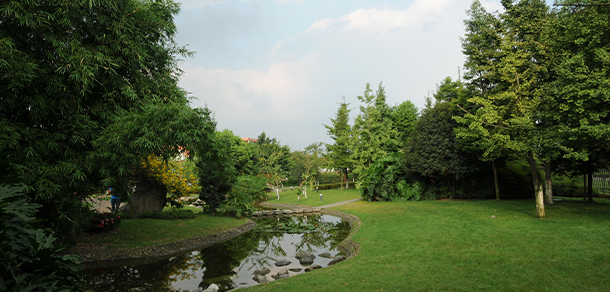 西南民族大学 - 最美大学