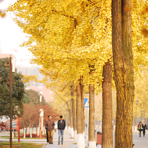 我的大學