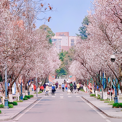 大學简介