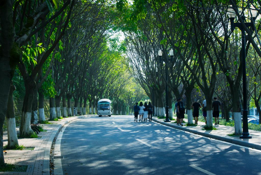 成都大学 我的大學