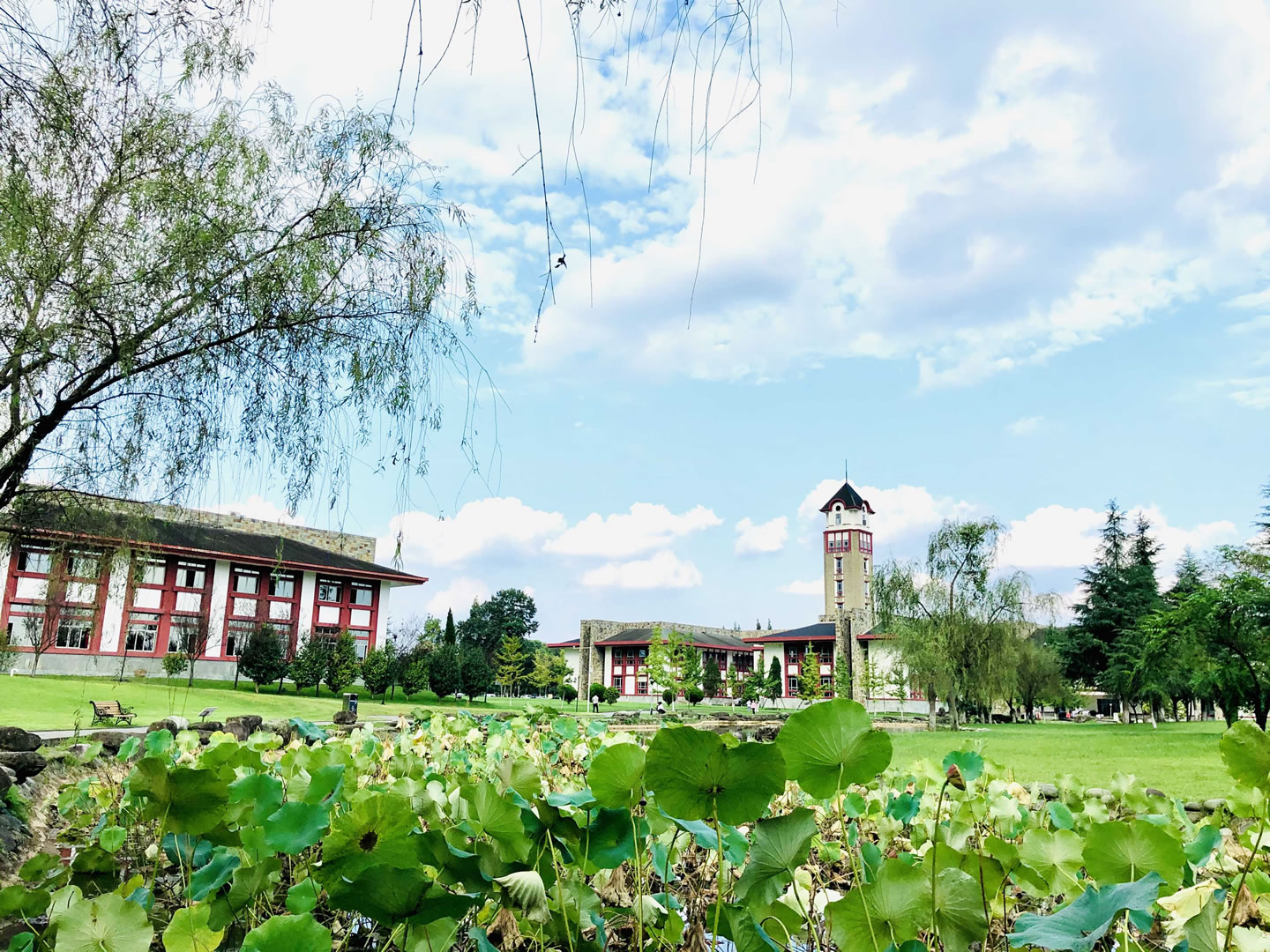 成都东软学院-校园风景