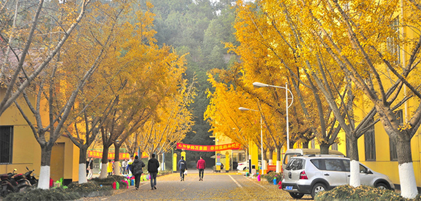 我的大學-大學志