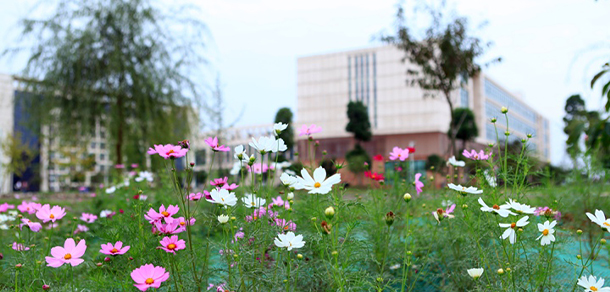 四川工商学院 - 最美大学