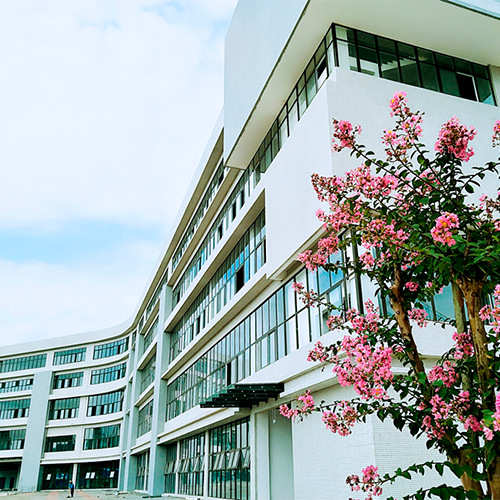 四川文化艺术学院 - 棠梨落雨 · 陌上花开