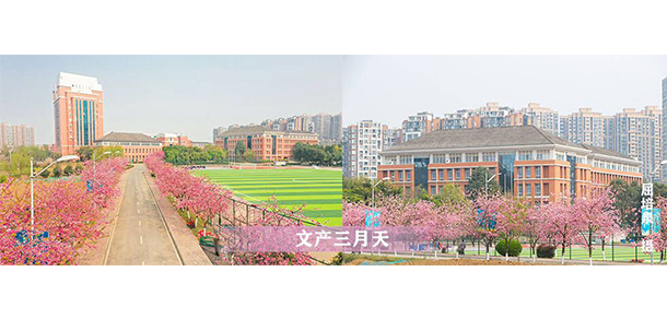 我的大學-大學志