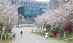 四川卫生康复职业学院 - 最美印记