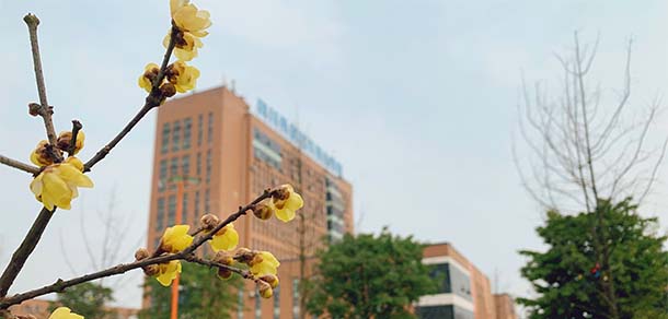 四川希望汽车职业学院