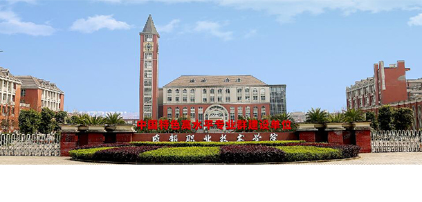 我的大學-大學志