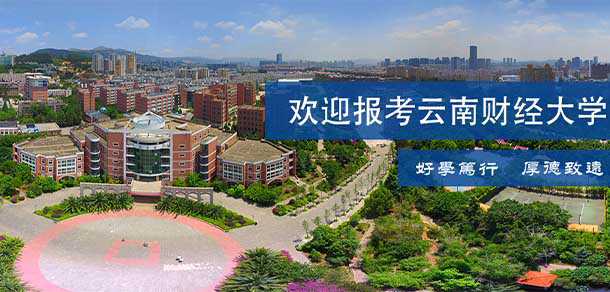 我的大學-大學志