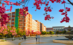 云南经济管理学院 - 我的大学