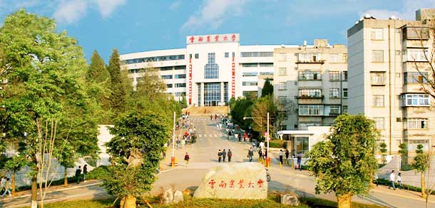 云南农业大学