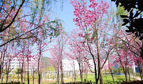 丽江师范学院 - 最美印记