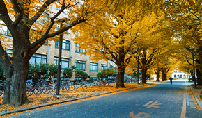 西藏农牧学院-校园风光