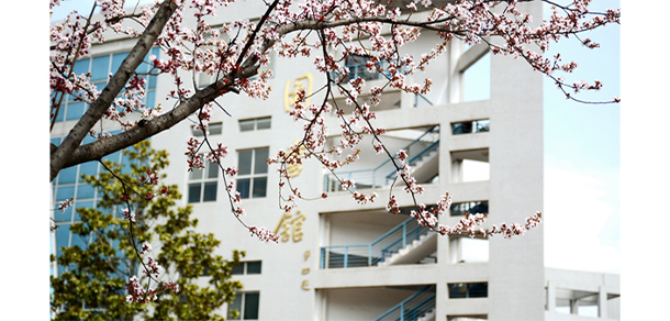 商洛学院 - 最美大学