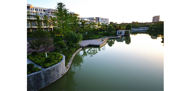 我的大學-大學志