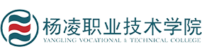 2021年-2024年高考招生资讯