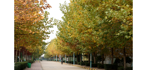 我的大學-大學志