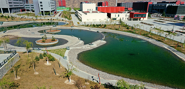 甘肃中医药大学