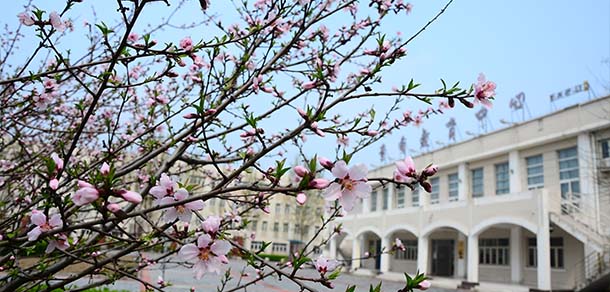 天津财经大学珠江学院