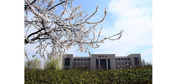 天津财经大学珠江学院