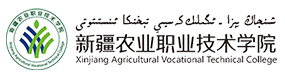 2021年-2024年高考招生资讯