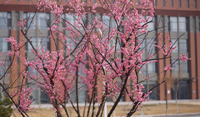 河北工程大学-校园风光