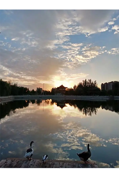 沧州师范学院