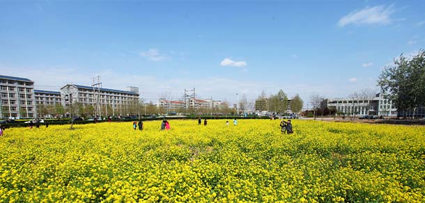 河北科技大学 - 最美院校