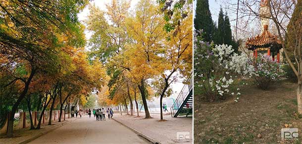 沧州幼儿师范高等专科学校