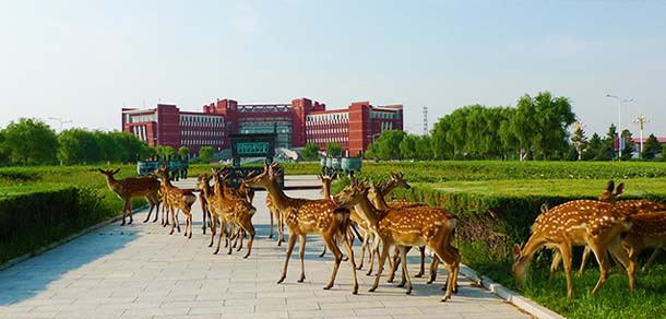 内蒙古师范大学