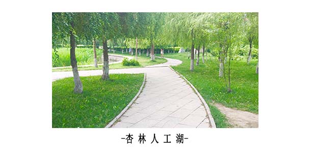 辽宁中医药大学杏林学院