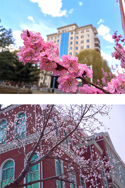 长春光华学院