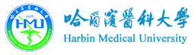 2021年-2024年高考招生资讯