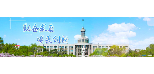 我的大學-大學志